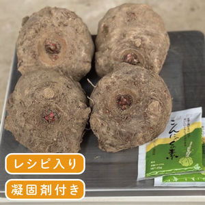 大子町産 生芋こんにゃく手作りセット 【こんにゃく芋（みやままさり）2kg ・凝固剤・レシピ付き】｜茨城県 大子町 菊池農園 蒟蒻 刺身 田舎（CL003）