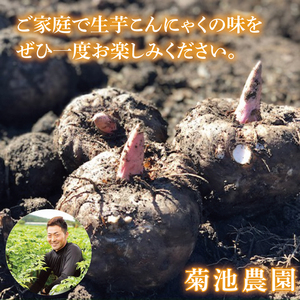 大子町産 生芋こんにゃく手作りセット 【こんにゃく芋（みやままさり）3kg ・凝固剤・レシピ付き】｜茨城県 大子町 菊池農園 蒟蒻 刺身 田舎（CL004）