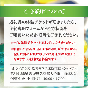 ホシノガラス　吹きガラス体験（１名様）｜茨城県 大子町 工房 グラス 小鉢 一輪挿し（CV001）