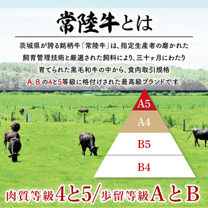 【常陸牛】生ハンバーグ 150g×5個｜茨城県共通返礼品 牛肉 国産 ブランド牛 黒毛和牛 惣菜 おかず 贈り物 ギフト 茨城県 大子町（AP006）