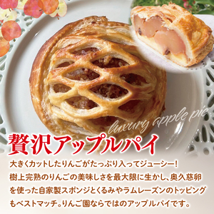 【藤田観光りんご園】りんご園で焼いた「贅沢アップルパイ」と「至福のアップルタルト」お手軽セット｜フジタアップルオーチャード 茨城県 大子町 奥久慈 林檎 お菓子 焼菓子 おやつ デザート スイーツ(BJ007)