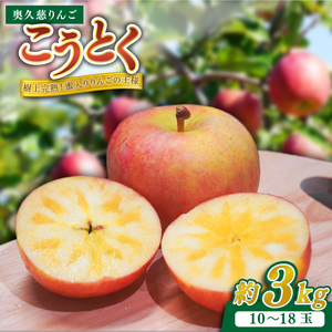 数量限定/先行予約】樹上完熟の奥久慈りんご「こうとく」約3kg（10～18