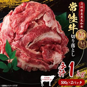【茨城県共通返礼品】常陸牛切り落とし1kg（500g×2）｜ブランド牛 銘柄牛 和牛 黒毛和牛 国産 A5・A4ランク 等級 お肉 牛肉 牛丼 すき焼き 炒め物 小分け 茨城県 大子町（DD010）