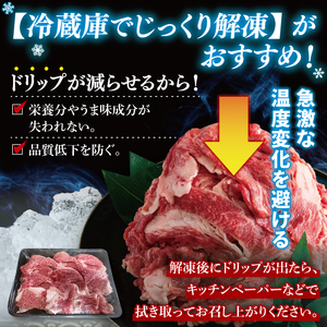 【茨城県共通返礼品】常陸牛切り落とし1kg（500g×2）｜ブランド牛 銘柄牛 和牛 黒毛和牛 国産 A5・A4ランク 等級 お肉 牛肉 牛丼 すき焼き 炒め物 小分け 茨城県 大子町（DD010）