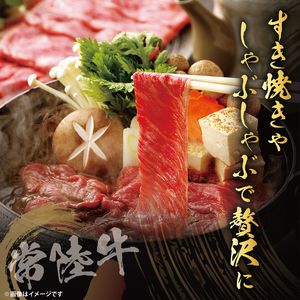 【茨城県共通返礼品】常陸牛肩ローススライス600g【茨城県共通返礼品】｜ブランド牛 銘柄牛 和牛 黒毛和牛 国産 A5・A4ランク 等級 お肉 牛肉 スライス 肩ロース 茨城県 大子町（DD003）