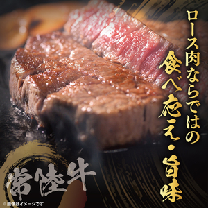 【6回定期便】最高級A4.5ランク常陸牛 お楽しみセット【茨城県共通返礼品】｜ブランド牛 銘柄牛 和牛 黒毛和牛 国産 A5・A4ランク 等級 お肉 牛肉 ロース もも 切り落とし ステーキ 定期 6ヶ月 毎月 茨城県 大子町（DD005）