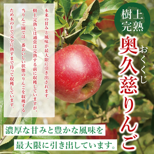 【数量限定】【三村観光りんご園】【10月より順次発送予定】樹上完熟！奥久慈りんご＆贅沢ジュース（品種おまかせ約2kg＆720ml×1本）｜茨城県 大子町 林檎 旬 果物 フルーツ 果実 果汁 飲料 セット 詰合せ ギフト 贈答(BX008)