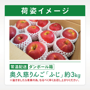 【数量限定】【11月より順次発送予定】三村観光りんご園の奥久慈りんご「ふじ」約3kg｜茨城県 大子町 林檎 旬 果物 フルーツ 果実 果汁 ギフト 贈答 甘い ジューシー みずみずしい（BX009）