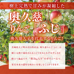 【数量限定】【11月より順次発送予定】三村観光りんご園の奥久慈りんご「ふじ」約3kg｜茨城県 大子町 林檎 旬 果物 フルーツ 果実 果汁 ギフト 贈答 甘い ジューシー みずみずしい（BX009）