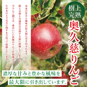 【数量限定】【11月より順次発送予定】三村観光りんご園の奥久慈りんご「ふじ」約3kg｜茨城県 大子町 林檎 旬 果物 フルーツ 果実 果汁 ギフト 贈答 甘い ジューシー みずみずしい（BX009）