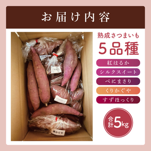 【大子町産】熟成さつまいも 5種食べ比べセット 合計5kg 詰め合わせ（紅はるか・シルクスイート・くりかがや・すずほっくり・べにまさり） ｜ 茨城県 大子町 サツマイモ 焼き芋 ホクホク 野菜 数量限定 （CH007）