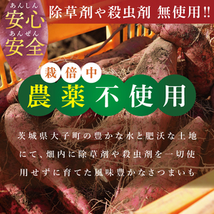 【大子町産】熟成さつまいも 5種食べ比べセット 合計5kg 詰め合わせ（紅はるか・シルクスイート・くりかがや・すずほっくり・べにまさり） ｜ 茨城県 大子町 サツマイモ 焼き芋 ホクホク 野菜 数量限定 （CH007）