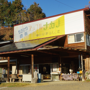 【仲野りんご園】樹上完熟の奥久慈りんご「サンふじ」約3kg（9～12玉）｜茨城県 大子町 林檎 アップル 果物 フルーツ シャキシャキ みずみずしい 旬 秋 味覚 ギフト 贈答（DF001）