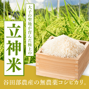 【無農薬米日本一コンテスト2年連続金賞】【谷田部農産】立神米 無農薬 こしひかり（白米）10kg｜茨城県 大子町 コシヒカリ 米 無農薬 コンテスト 受賞 生産者 大子産米 産地直送 令和7年産（BT082）