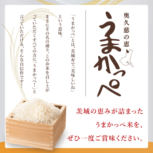 【3ヶ月定期便】令和7年産　奥久慈の恵みうまかっぺ米（コシヒカリ） 5kg｜茨城県 大子町 お米 白米 精米 ブランド米 銘柄米 食味値 ふっくら もちもち（AH019）