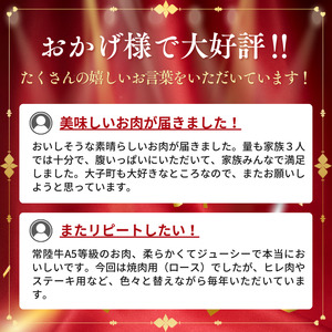 常陸牛A5等級　焼肉用500g（ロース）｜茨城県 大子町 奥久慈 お肉 牛肉 銘柄牛 ブランド牛 和牛 常陸 お歳暮 贈答 贈り物 包装 のし 熨斗 プレゼント 指定日 日時指定（AC008）