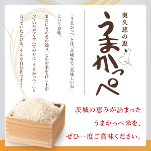 【5ヶ月定期便】奥久慈の恵 うまかっぺ米 5kg｜茨城県 大子町 お米 白米 精米 ブランド米 銘柄米 食味値  定期 回数（AH006-2）