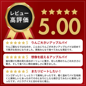 【藤田観光りんご園】りんご園で焼いた贅沢アップルパイ（ホールサイズ）｜茨城県 大子町 お菓子 洋菓子 焼菓子 スイーツ 林檎 りんごパイ お祝い 贈り物 ギフト プレゼント 贈答(BJ001)