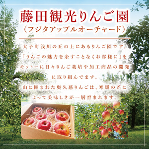 【藤田観光りんご園】りんご園で焼いた贅沢アップルパイ(ホールサイズ)|茨城県 大子町 お菓子 洋菓子 焼菓子 スイーツ 林檎 りんごパイ お祝い 贈り物 ギフト プレゼント 贈答(BJ001)