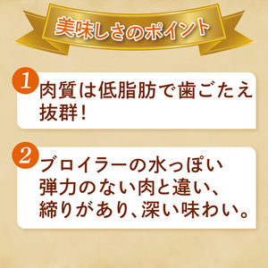 農家レストラン 奥久慈しゃも 手作り ミートパイ 5個 真空パック（BK002）