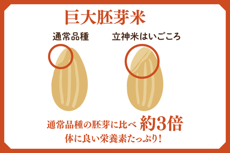 【特別栽培米】立神米はいごころ（玄米）15kg 茨城県 大子町 米(BT009)