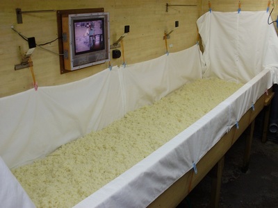 生こうじ「出来立て真空パック」500g入り×4個