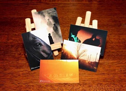 美浦トレーニングセンター フォトポストカード(美駒シリーズ5枚組)