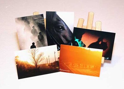 美浦トレーニングセンター フォトポストカード(美駒シリーズ5枚組)