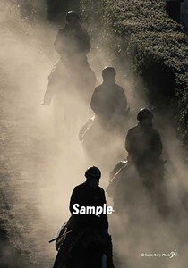 美浦トレーニングセンター　ギャラリーフォトプリント「黙想」