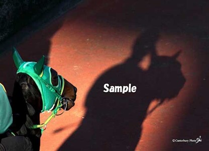 美浦トレーニングセンター　ギャラリーフォトプリント「投影」