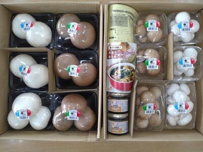 よし!もっとマッシュルーム食べよう!セット 2026年1月中旬~下旬頃から順次発送