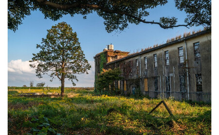 令和８年２月１８日（水）美浦村体感 トレセン調教見学付き村内ツアーと特産品（お米5kg）