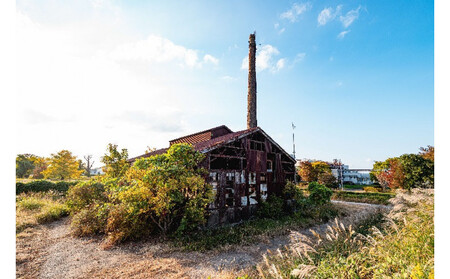令和８年２月１８日（水）美浦村体感 トレセン調教見学付き村内ツアーと特産品（お米5kg）