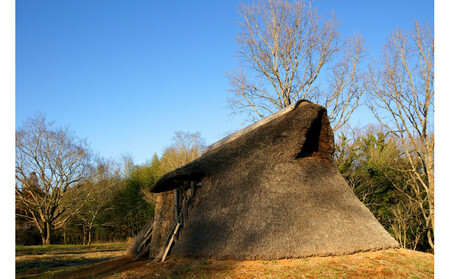令和８年２月１８日（水）美浦村体感 トレセン調教見学付き村内ツアーと特産品（お米5kg）