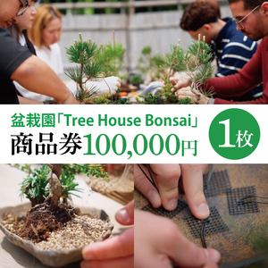 商品券【盆栽体験ワークショップ参加及び樹木、鉢等の関連商品購入に利用】【盆栽 ワークショップ 阿見町 茨城県】(64-01)
