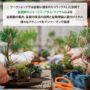 商品券【盆栽体験ワークショップ参加及び樹木、鉢等の関連商品購入に利用】【盆栽 ワークショップ 阿見町 茨城県】(64-01)