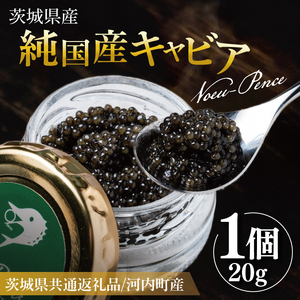 【先行予約】【12月上旬から中旬に発送】【茨城県共通返礼品/河内町】純国産キャビアVoeu-Pence 20ｇ×1個【数量限定 茨城県河内町】(78-01)