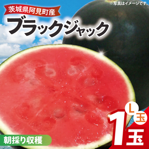 スイカ ブラックジャック L玉 1個 大玉 西瓜 高糖度 シャリ感 甘い 夏