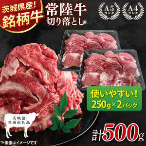 【茨城県共通返礼品】常陸牛切り落とし 500g【使いやすい 小分け 250g×2 銘柄牛 牛肉 冷凍 たんぱく質 ビタミン 茨城県産】(81-15)