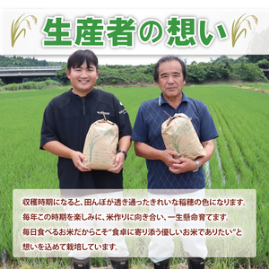 令和7年産 阿見町産コシヒカリ　精米　5kg｜ お米 米 ごはん 阿見町 茨城県 茨城県産 茨城県産米（85-02）