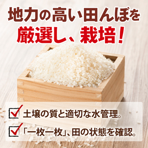 【2ヶ月定期便】茨城県産コシヒカリ　無洗米　5kg｜無洗米 定期便 お米 米 こめ コメ ごはん 白米 阿見町 茨城県 茨城県産 茨城県産米 安心 安全 送料無料 国産 人気 数量限定 高評価（85-20）