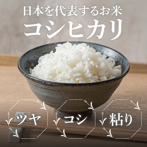 茨城県産コシヒカリ　精米　10kg｜精米 お米 米 こめ コメ ごはん 白米 阿見町 茨城県 茨城県産 茨城県産米 安心 安全 送料無料 国産 人気 数量限定 高評価（85-12）