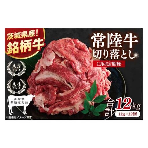 【茨城県共通返礼品】【12ヶ月定期便】常陸牛切り落とし 1kg（500g×2）【黒毛和牛 国産 銘柄牛 牛肉 肉 冷凍 茨城県産】(81-18)