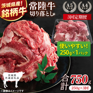 【茨城県共通返礼品】【3ヶ月定期便】お試しサイズ！常陸牛切り落とし 250g【黒毛和牛 国産 銘柄牛 牛肉 肉 冷凍 茨城県産】(81-23)