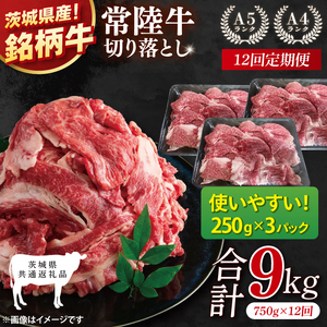 【茨城県共通返礼品】【12ヶ月定期便】常陸牛切り落とし 750g（250g×3）【黒毛和牛 国産 銘柄牛 牛肉 肉 冷凍 茨城県産】(81-29)