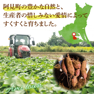 【12月下旬より順次発送】さつまいも シルクスイート5kg【甘藷 甘い さつま芋 サツマイモ 薩摩芋 茨城県産 茨城県 阿見町】(90-03)