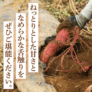 【12月下旬より順次発送】さつまいも シルクスイート5kg【甘藷 甘い さつま芋 サツマイモ 薩摩芋 茨城県産 茨城県 阿見町】(90-03)