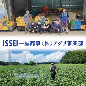 【12月下旬より順次発送】さつまいも シルクスイート5kg【甘藷 甘い さつま芋 サツマイモ 薩摩芋 茨城県産 茨城県 阿見町】(90-03)