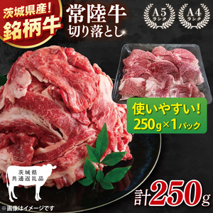 【茨城県共通返礼品】お試しサイズ！常陸牛切り落とし 250g【黒毛和牛 国産 銘柄牛 牛肉 肉 冷凍 茨城県産】(81-22)