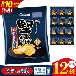 【10営業日以内に出荷】カルビー 堅あげポテト うすしお味（65g） 12個｜Calbee お菓子 菓子 おやつ おかし ぽてち ポテチ スナック おつまみ ジャガイモ じゃがいも（93-10）